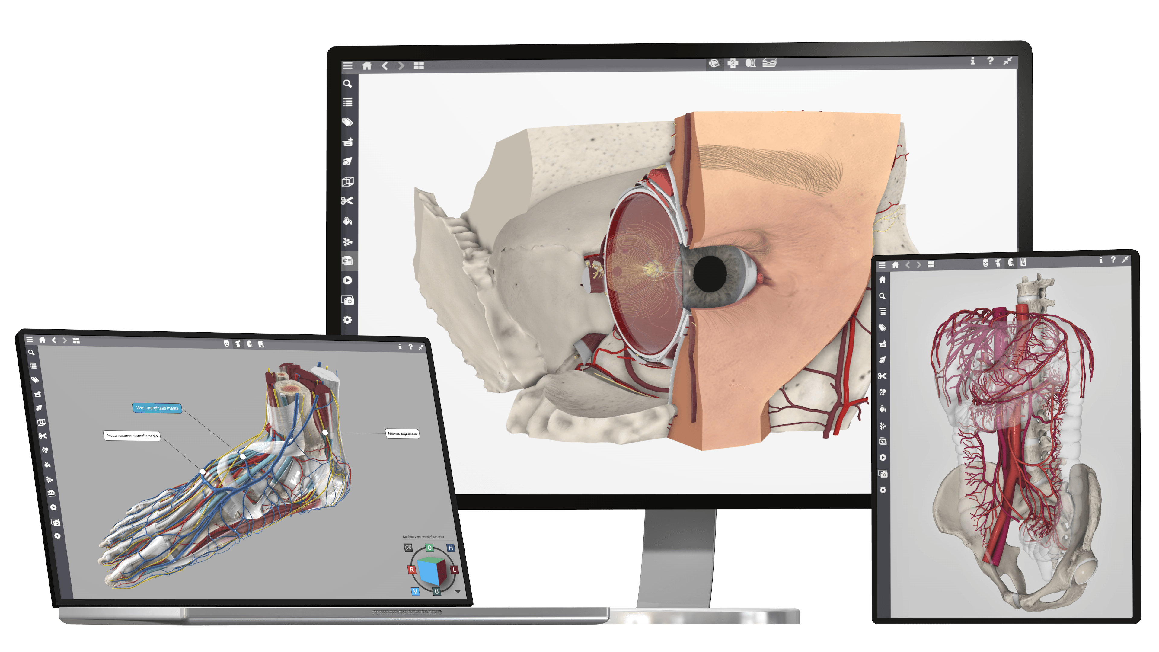 Our passion is visualization.